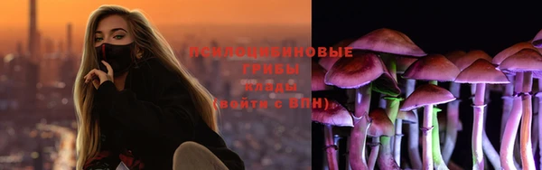 метадон Аркадак