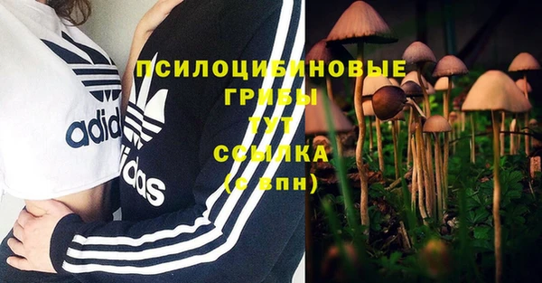 марки lsd Армянск