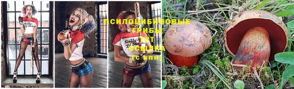 метадон Аркадак