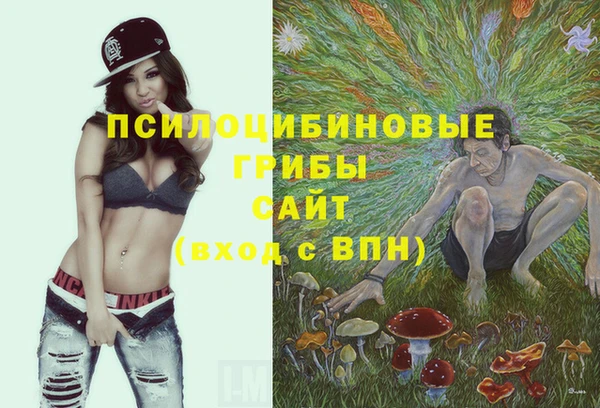 первитин Новозыбков